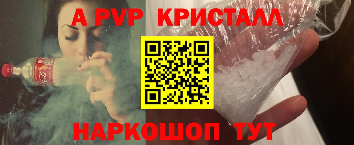 Alfa_PVP СК КРИС Хасавюрт
