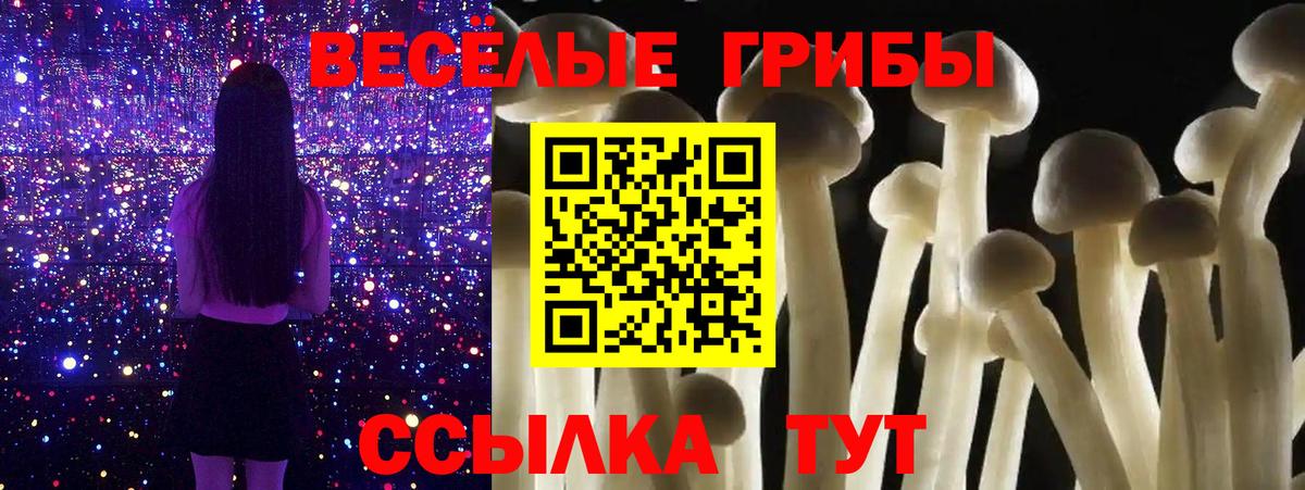 Хасавюрт  Псилоцибиновые грибы Cubensis  купить   Псилоцибиновые грибы ЛСД  Вход с VPN 