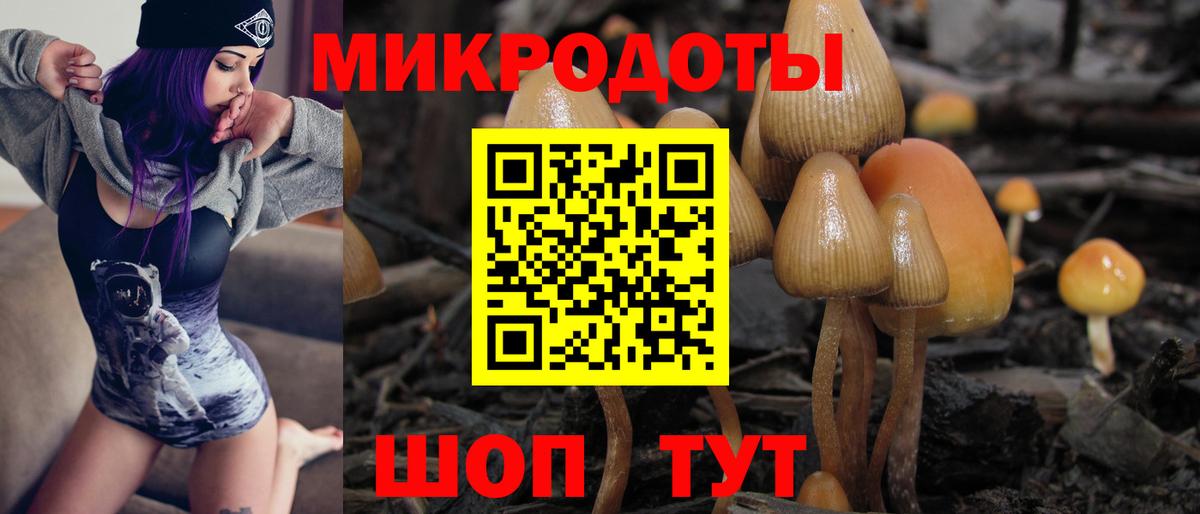Псилоцибиновые грибы Magic Shrooms Хасавюрт